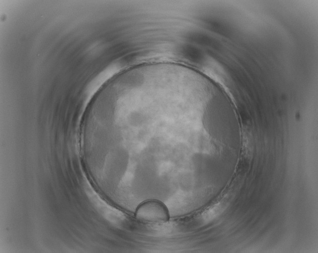 X0000062831090200601201606