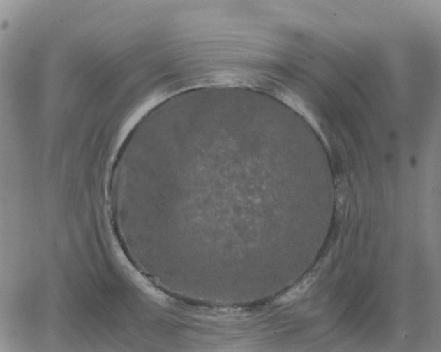 X0000062831091200601201606