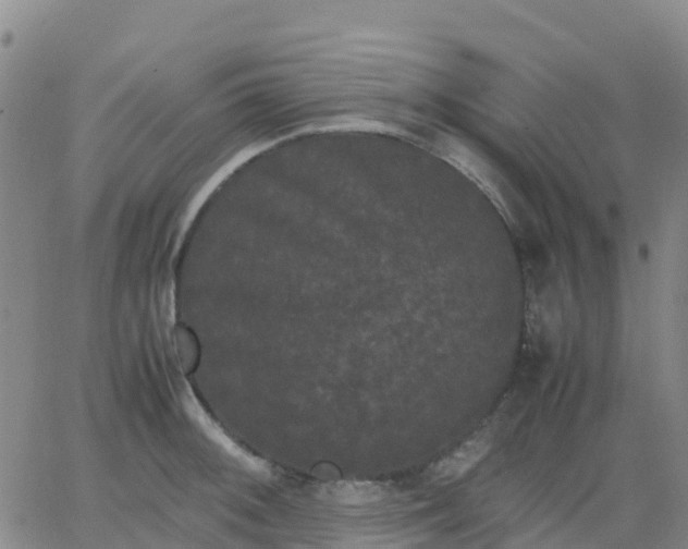 X0000062831092200601201606