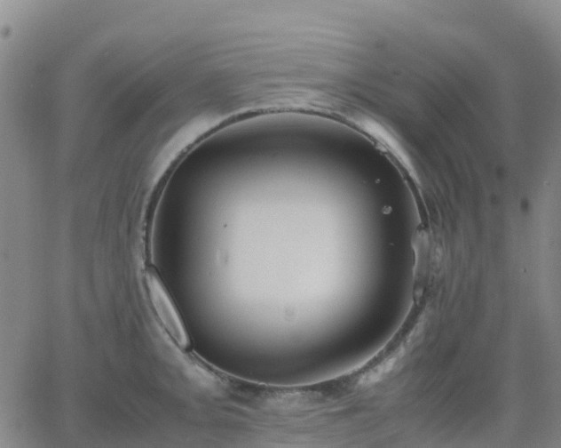 X0000062831093200601201606