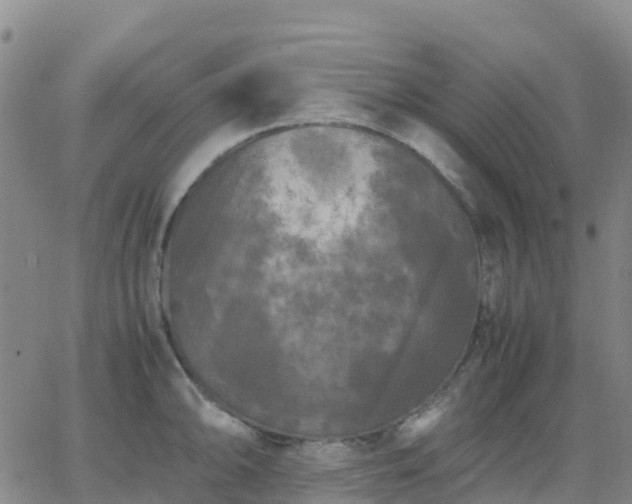 X0000062831094200601201606