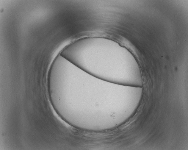 X0000062831095200601201606