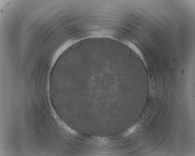 X0000062831096200601201606