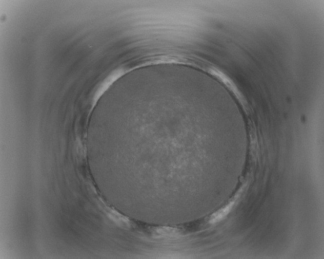 X0000062831097200601201606