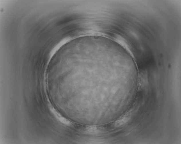 X0000062831098200601201606