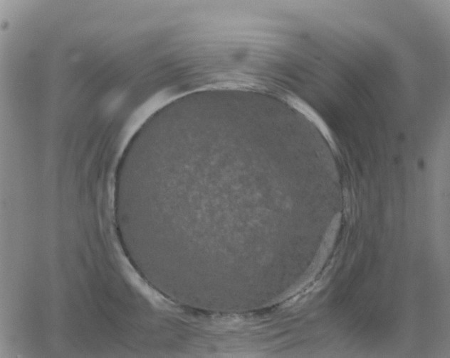 X0000062831099200601201606