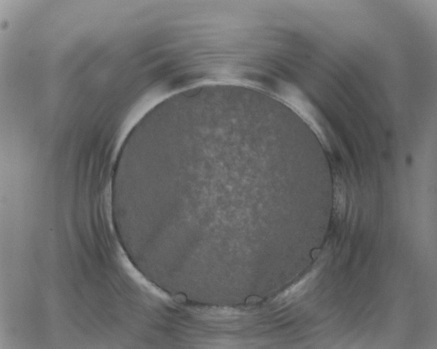 X0000062831100200601201606