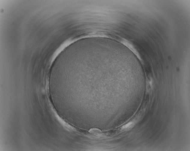 X0000062831101200601201606