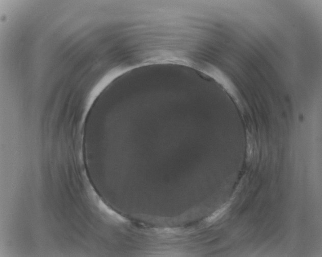 X0000062831102200601201606