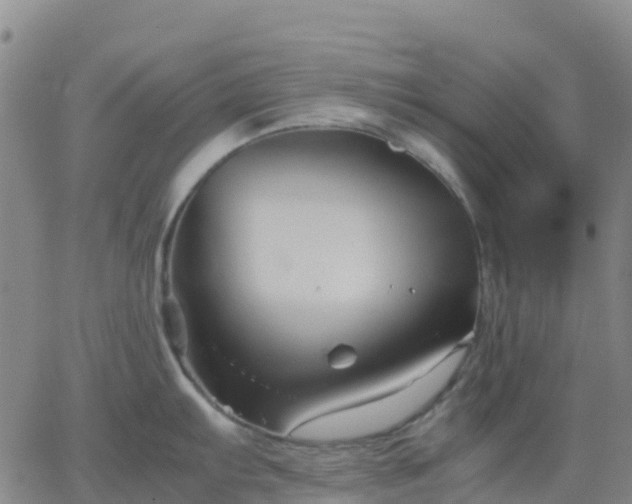 X0000062831103200601201606