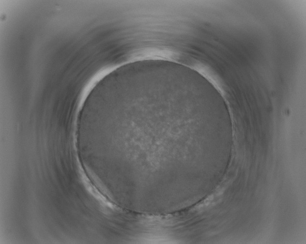 X0000062831104200601201606