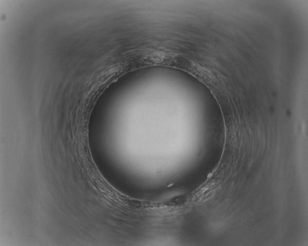 X0000062831105200601201605