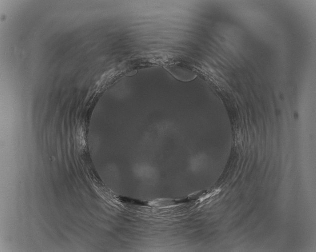 X0000062831106200601201605