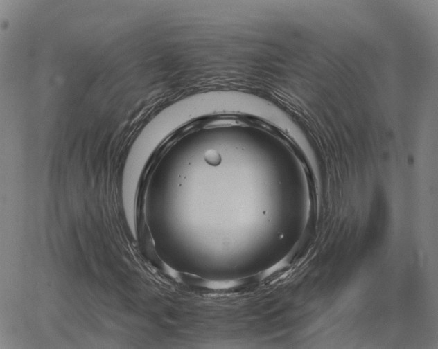 X0000062831107200601201605