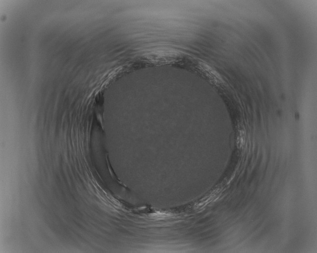 X0000062831108200601201605