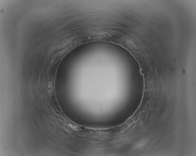 X0000062831109200601201605