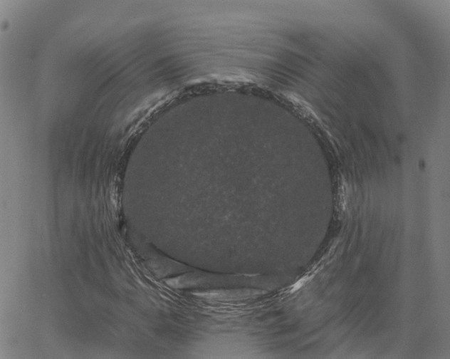 X0000062831110200601201606