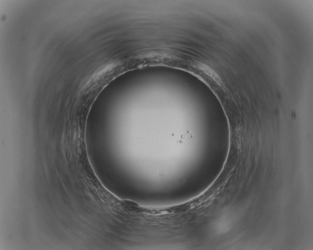 X0000062831111200601201606