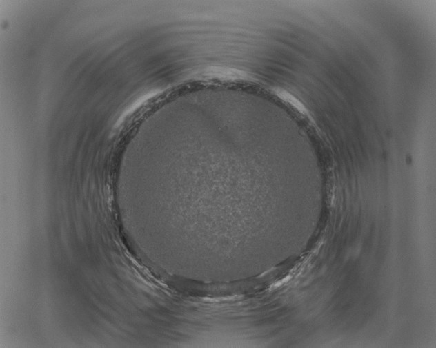 X0000062831112200601201606