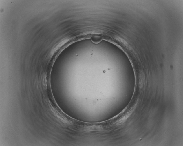 X0000062831113200601201606