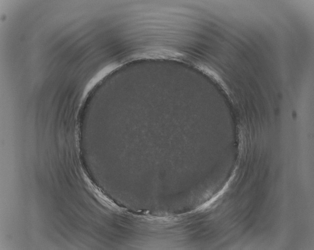 X0000062831114200601201606