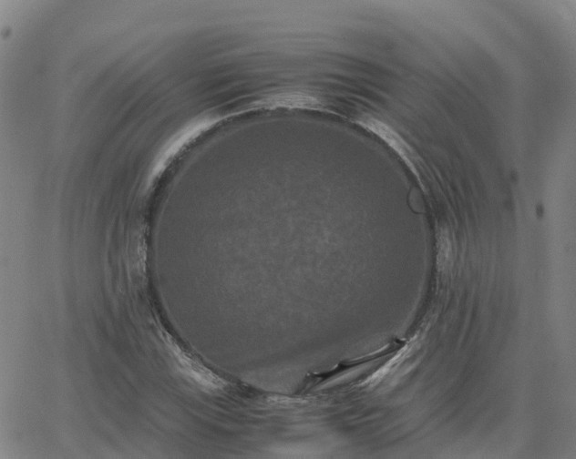 X0000062831115200601201606