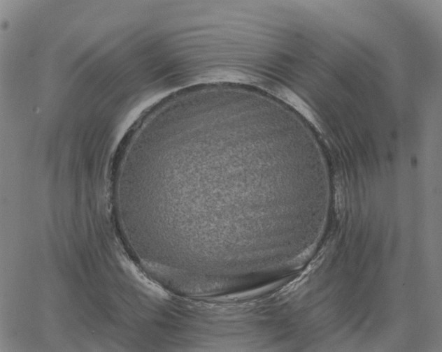 X0000062831116200601201606