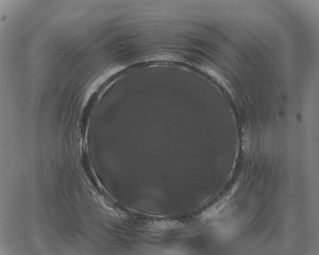 X0000062831117200601201606