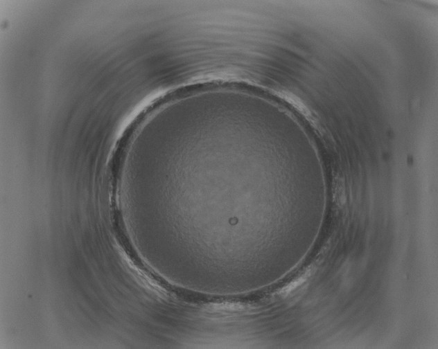 X0000062831118200601201606