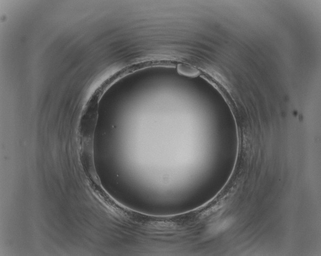 X0000062831119200601201606