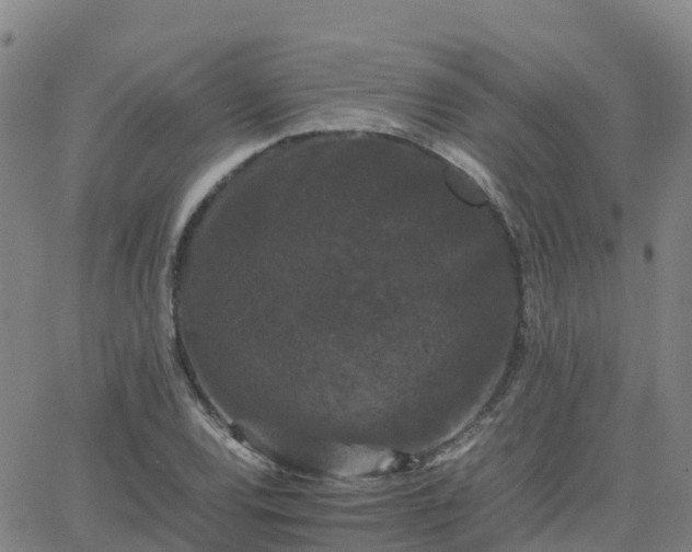 X0000062831120200601201606