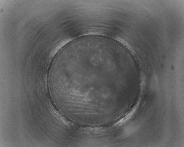 X0000062831121200601201606