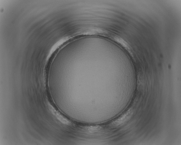 X0000062831122200601201606