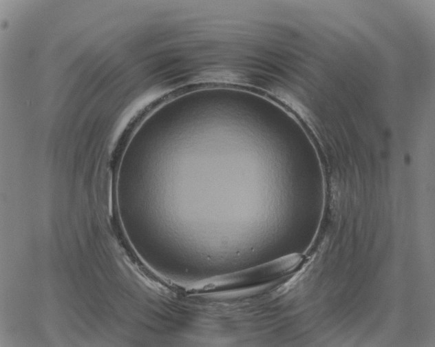 X0000062831123200601201606