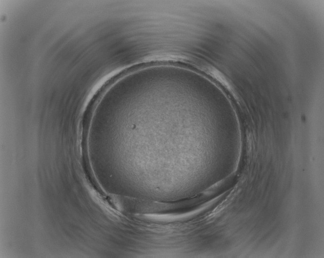 X0000062831124200601201606