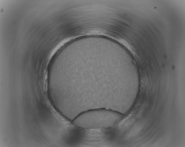 X0000062831126200601201606