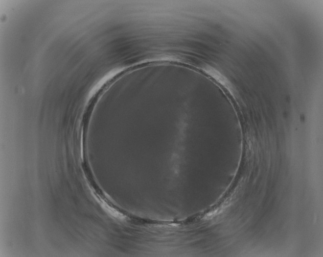 X0000062831127200601201606