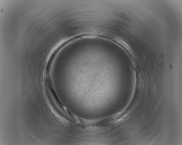 X0000062831128200601201606