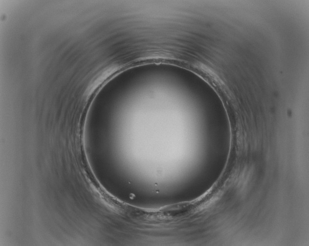 X0000062831129200601201606