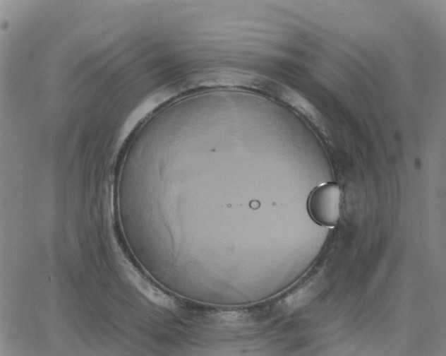 X0000062831130200601201606