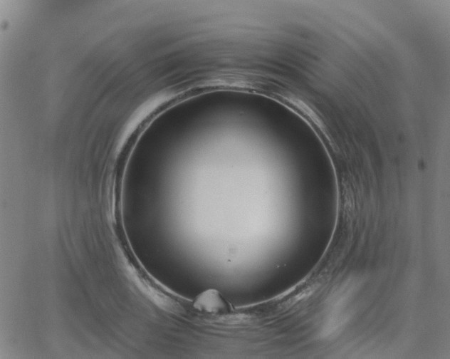 X0000062831131200601201606