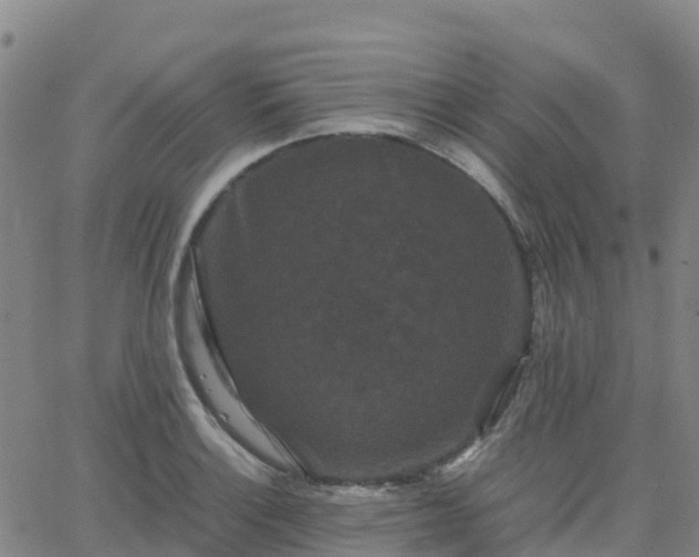 X0000062831132200601201606