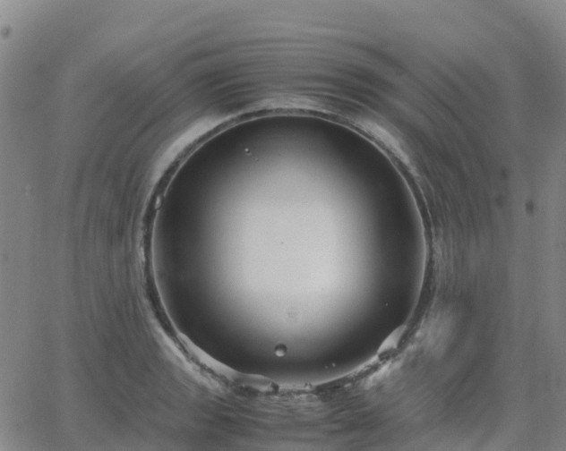 X0000062831133200601201606