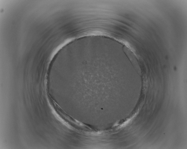 X0000062831134200601201606