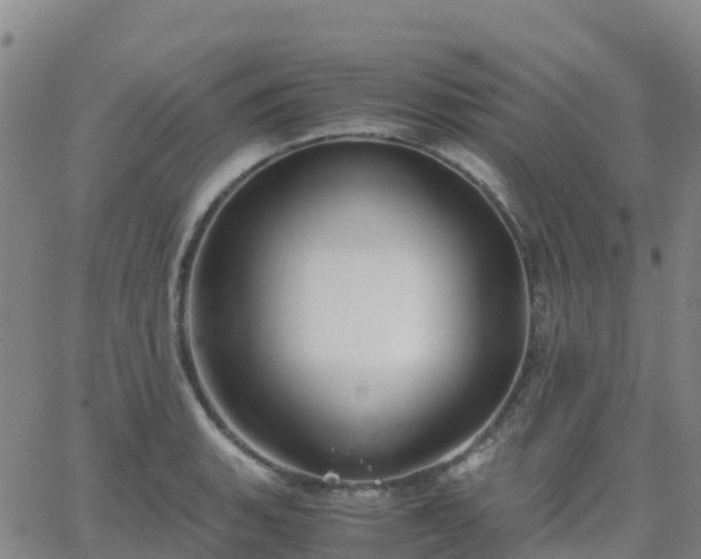 X0000062831135200601201606