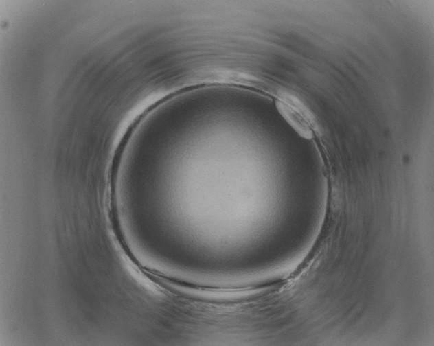 X0000062831136200601201606