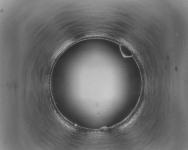 X0000062831137200601201606