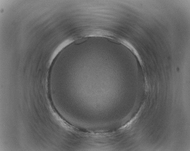 X0000062831138200601201606