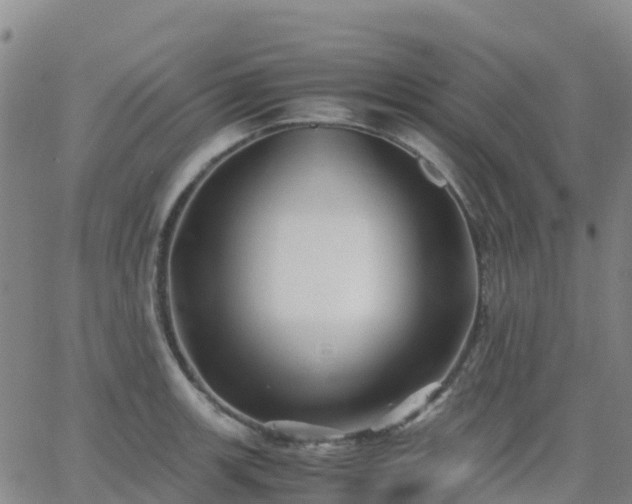 X0000062831139200601201606