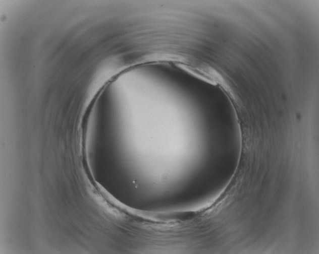 X0000062831140200601201606